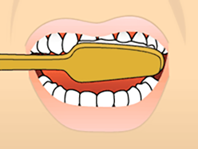 Brushing teeth step 2
